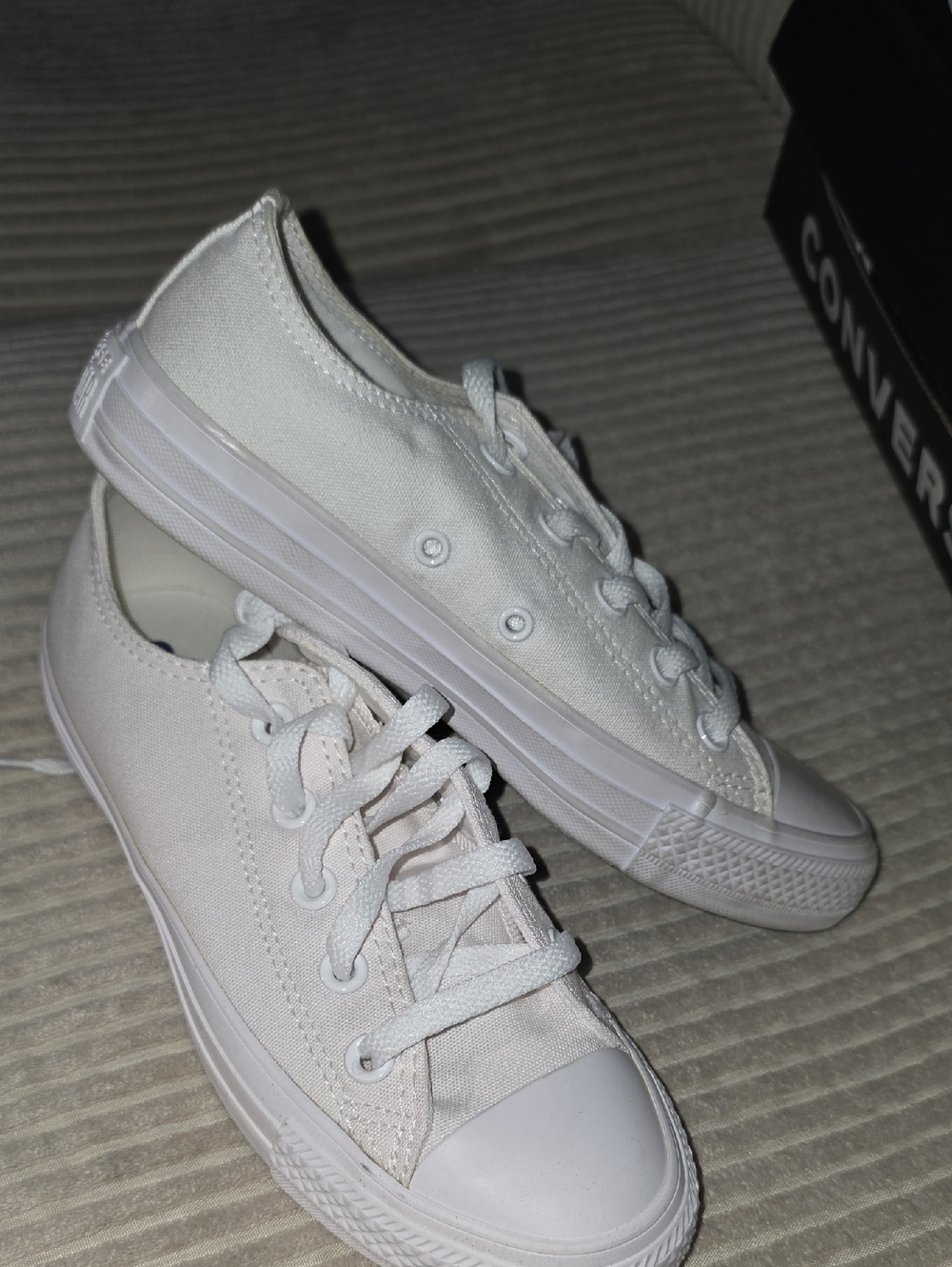 Converse Low Top Canvas Sneakers - Off-White